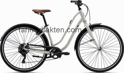 Liv flourish 3 technische daten