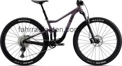 Liv pique 29 2 technische daten
