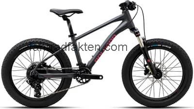 Polygon xtrada 20 technische daten 