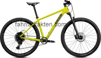 Radon zr team 8.0 29 technische daten 
