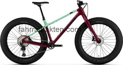 Rocky Mountain blizzard carbon 50 technische daten