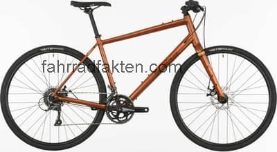 Salsa journeyman flat bar claris 700 technische daten 